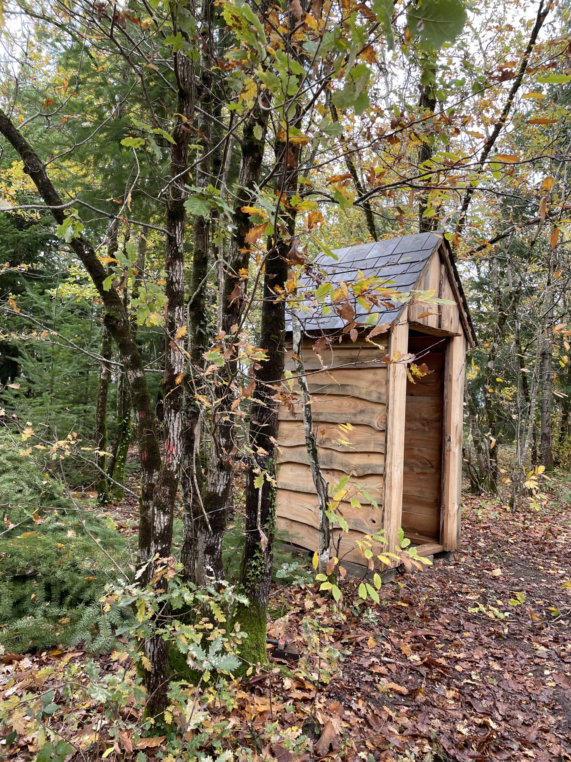 Toilettes sèches
